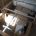 Picture of 2018 Coachman VIP 575 (16 of 31)