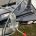 Picture of 2020 Bailey Pegasus Grande Brindisi (14 of 14)
