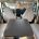 Picture of 2021 Burstner Harmony Lyseo TD590 (7 of 20)