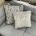 Picture of 2021 Coachman Laser Xcel 845 (22 of 23)