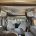 Picture of 2021 Burstner Harmony Lyseo TD590 (19 of 20)