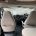 Picture of 2020 Compass Avantgarde CV40 (6 of 18)